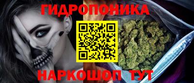 PSILOCYBIN Будённовск