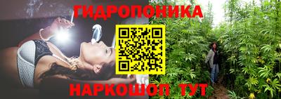 крисы Сланцы